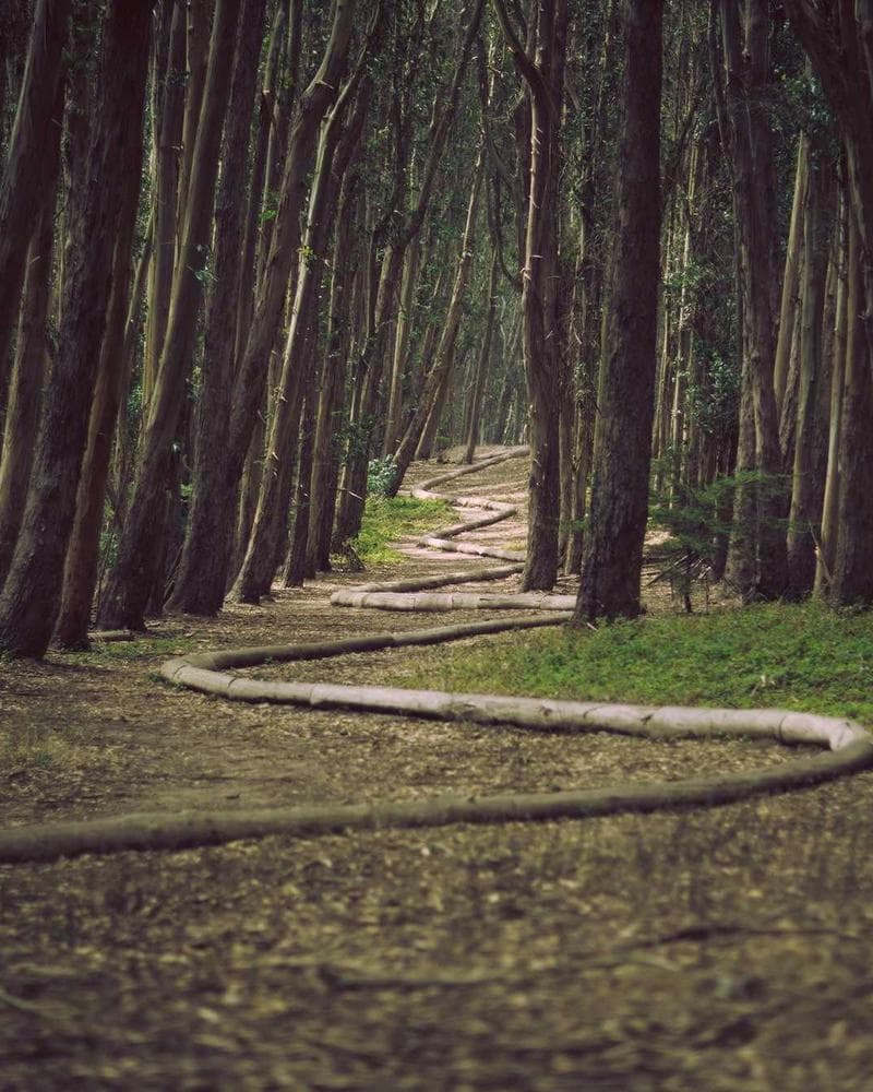 Solid Dyed Lawn Shirt — view 3